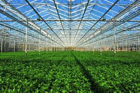 Aceleradora internacional busca startups do setor de agrotecnologia