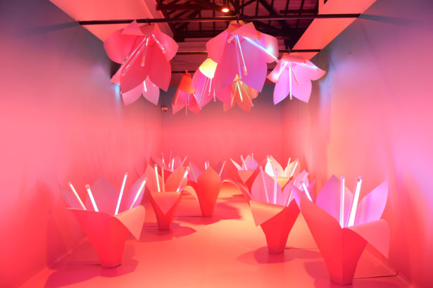 O Boticário inaugura em São Paulo espaço instagramável