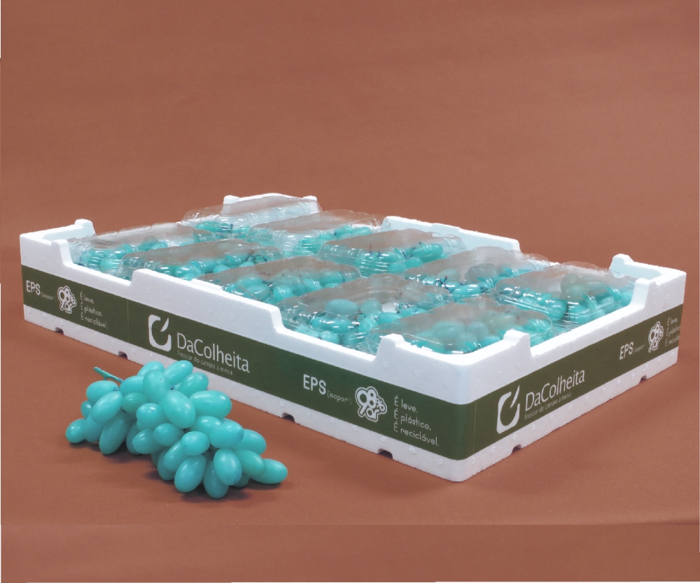 Termotécnica vence prêmio da World Packaging Organisation
