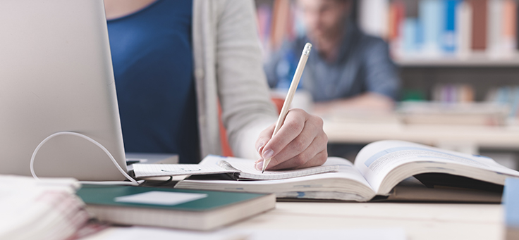 Escolas online movimentam R$ 6 milhões em apenas 4 meses