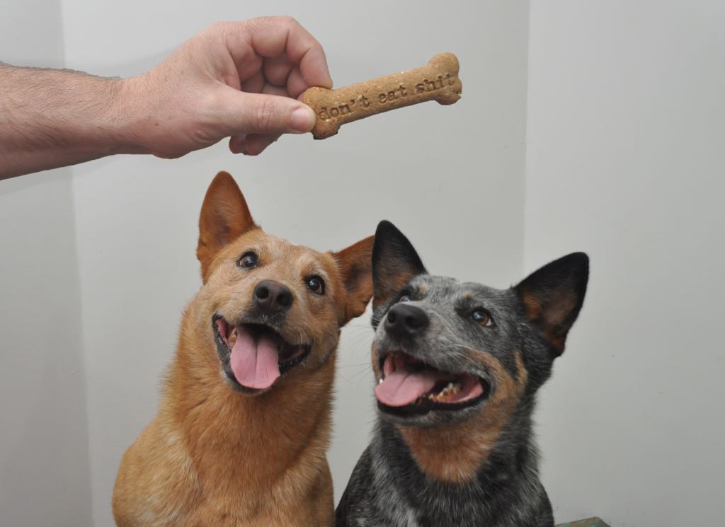 Maior rede de hambúrguer artesanal de Curitiba lança biscoito orgânico para cães