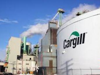 Cargill abre inscrições para vagas de estágio e trainee