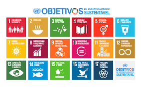 Novos negócios podem ser gerados para alcançar os Objetivos de Desenvolvimento Sustentável