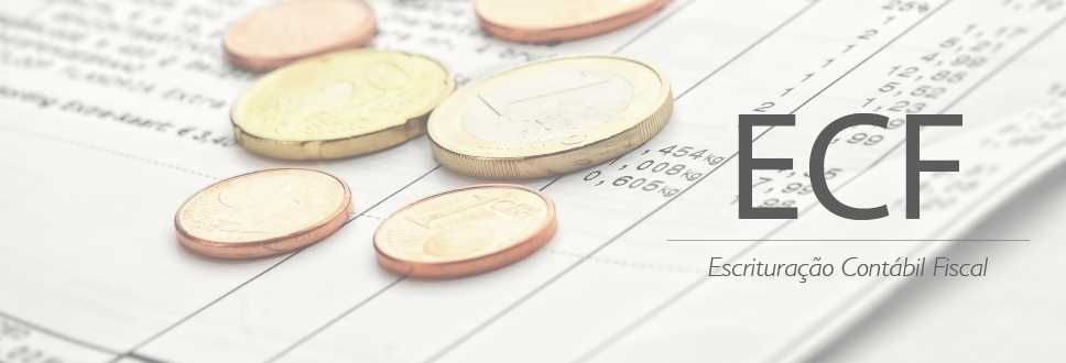 Prazo para entrega da ECF termina dia 31 de julho