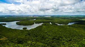Natura completa duas décadas de relação com a sociobiodiversidade amazônica