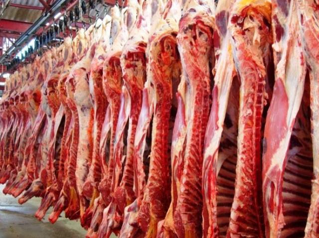 Exportações de carne bovina crescem mais de 20% no ano