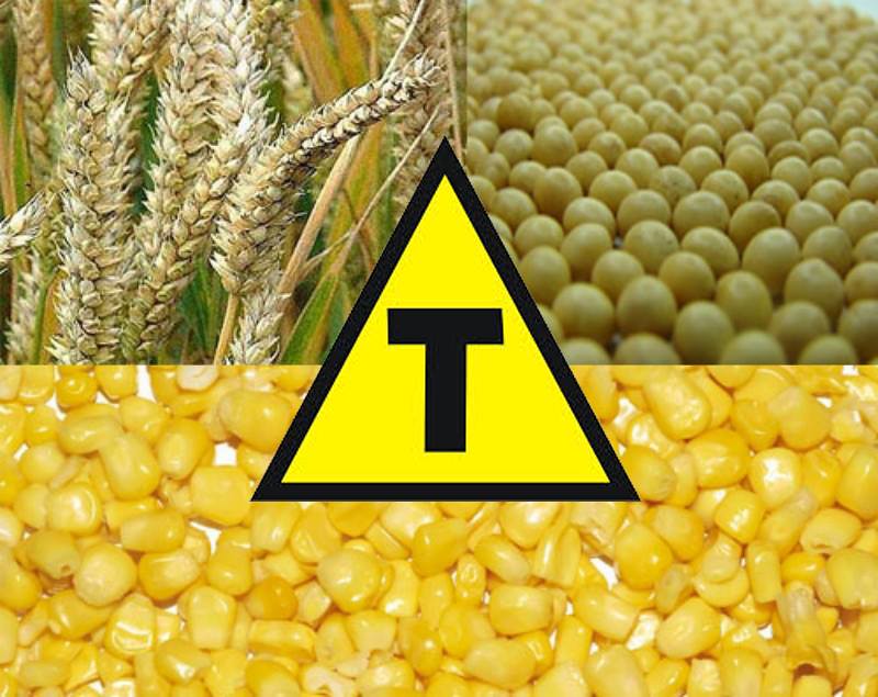 Estudo revela que transgênicos contribuem para sustentabilidade e protagonismo da agricultura brasileira