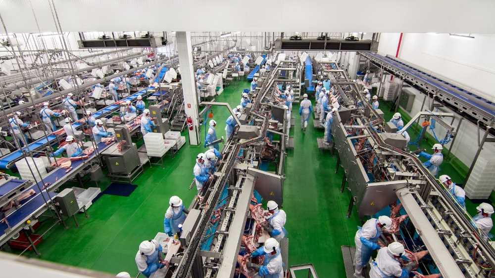 Exportações de carne suína crescem 24,5% no primeiro semestre