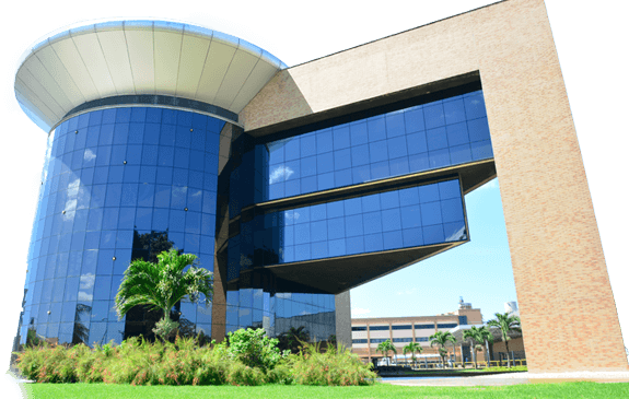 Grupo Telles, ex-Ypióca, se reinventa e mantém protagonismo nos negócios