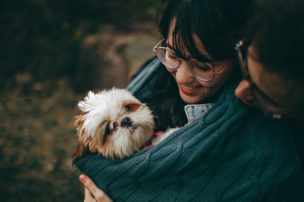 Startup brasileira lança aplicativo de prestação de serviços para o mercado pet nacional