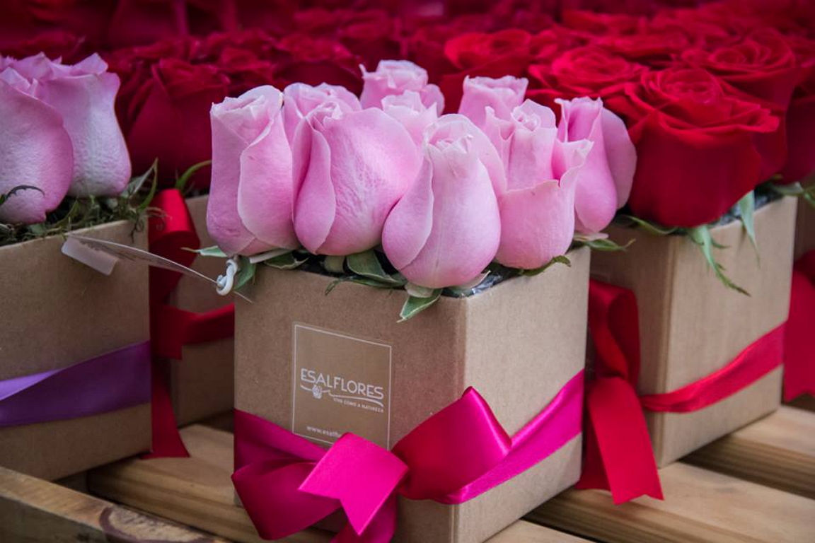 Mercado de flores se prepara para aumento de vendas no Dia Internacional da Mulher