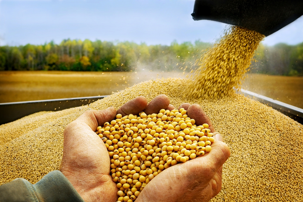 Menor ritmo de vendas da soja deve gerar riscos logísticos para o segundo semestre