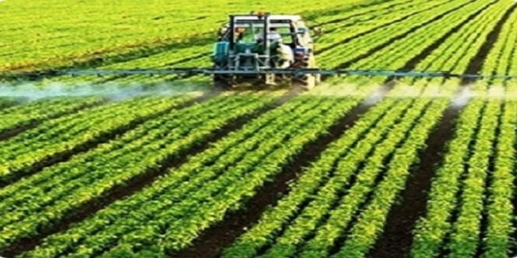Apesar da pandemia, setor agropecuário pode crescer até 2,5% este ano