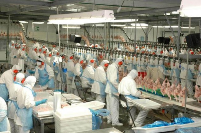 Minerva Foods cria fundo de R$ 32 milhões para auxiliar clientes durante a pandemia