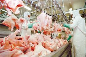 BRF quer vender 100 mil aves na Black Friday