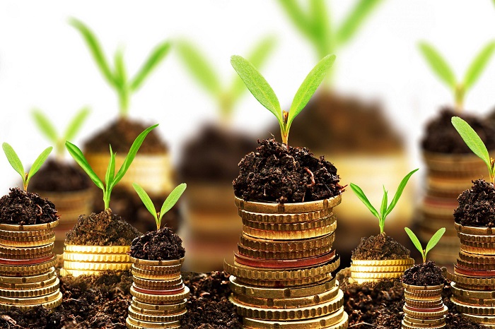 Pesquisa indica aceleração do investimento sustentável