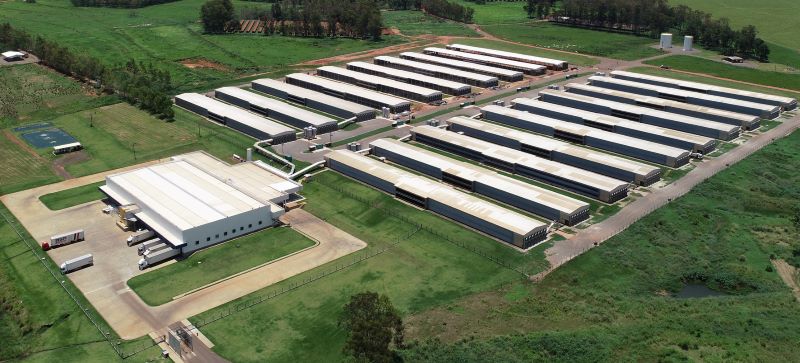 Katayama Alimentos anuncia investimentos para manter forte crescimento