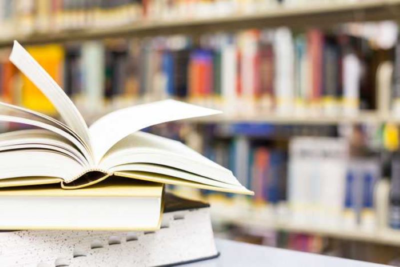 Profissionais buscam destaque no trabalho com produção de livros