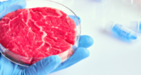 BRF produz carne cultivada com utilização de célula bovina