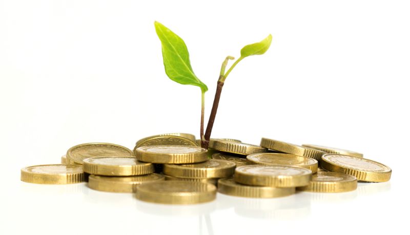 Startup recebe aporte para ampliar crédito barato para microindústrias