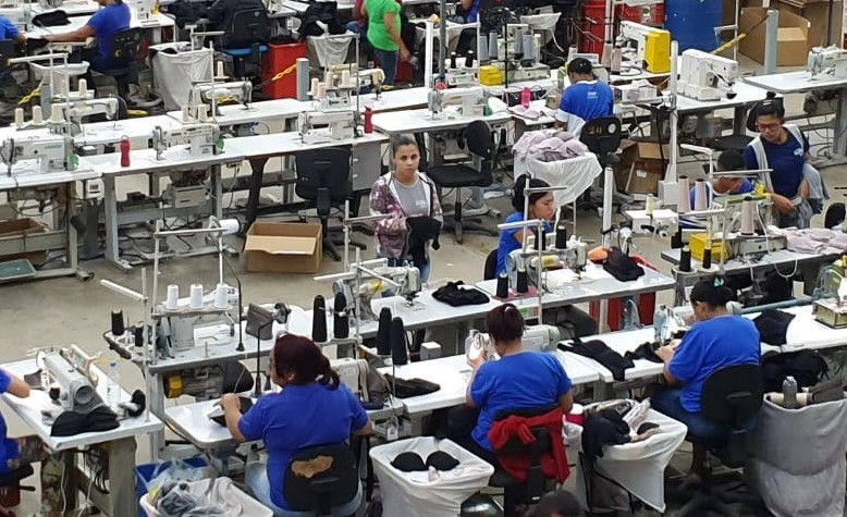 Lupo lança cursos de capacitação online gratuitos para pequenos varejistas