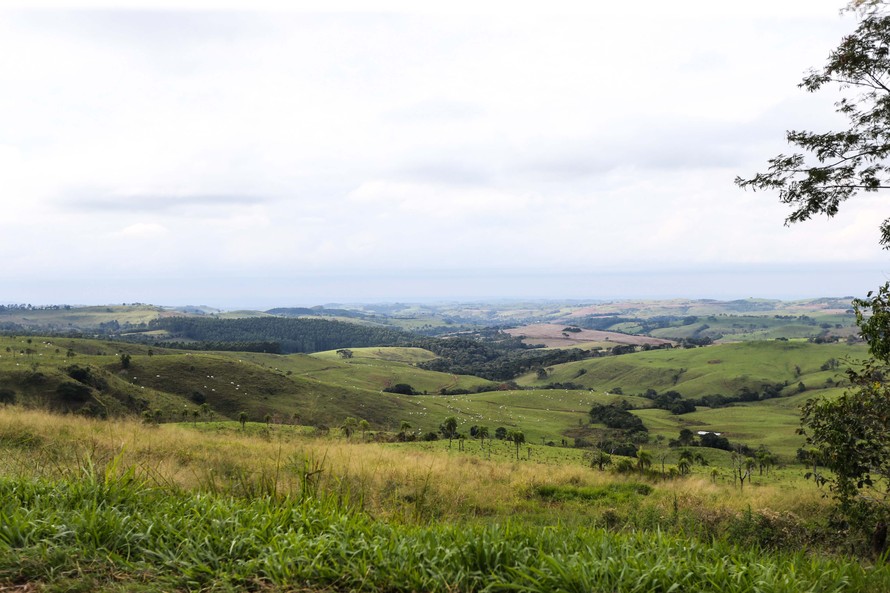 Preço de terras agrícolas sobe mais de 50% no Paraná