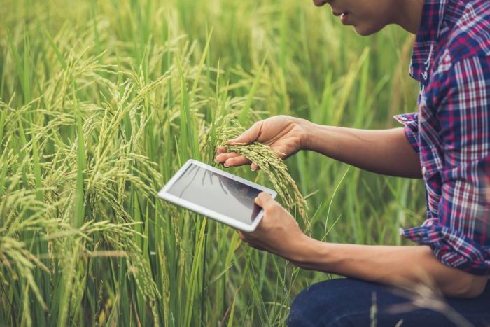 Instituto TIM lança curso gratuito sobre transformação digital no agronegócio