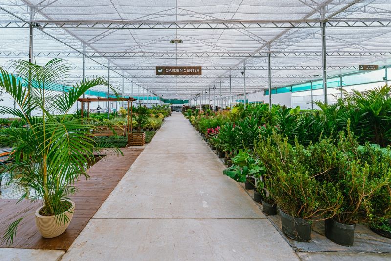 Curitiba terá a maior floricultura do Brasil
