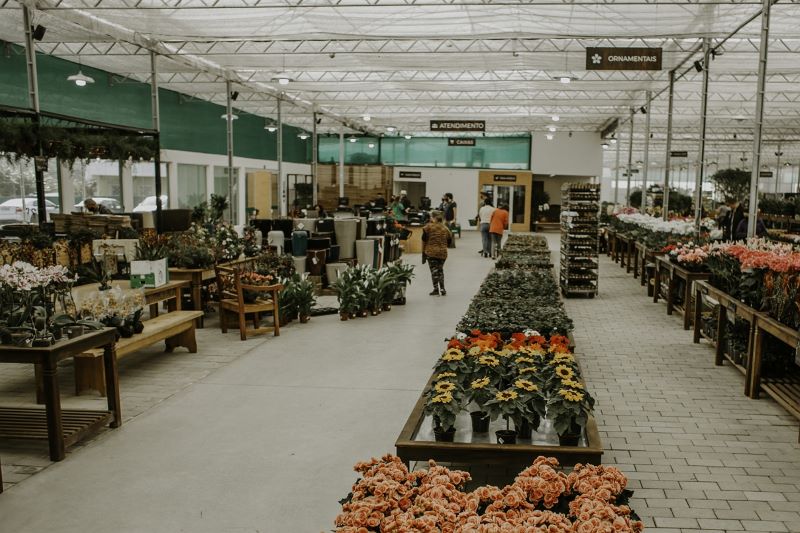 Maior rede de floriculturas do Brasil busca o equilíbrio entre otimismo e cautela com a chegada da Primavera