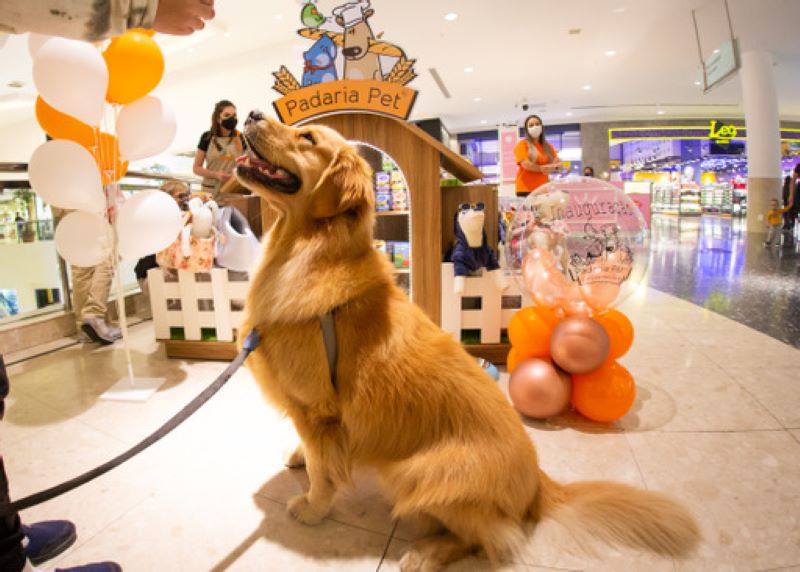 Curitiba ganha primeira Padaria Pet do Sul do Brasil