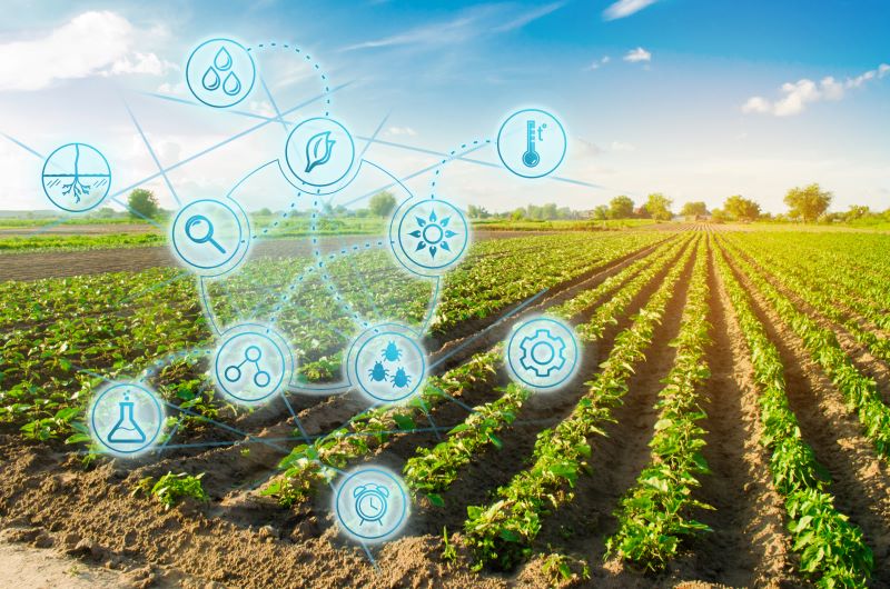 Fundação Araucária e Senai lançam chamada que conecta startups a indústrias do agronegócio