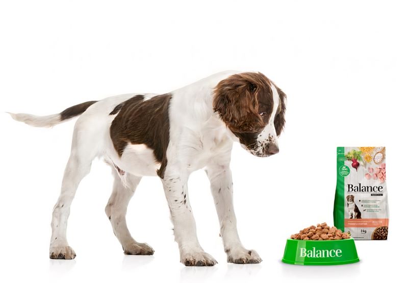 BRF amplia em 100% a produção de pet food no Paraná