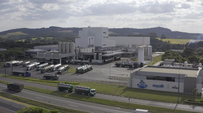 Mercado brasileiro de lácteos recebe primeira proteína concentrada de leite em pó