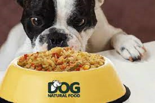Empresário de alimentos para cães dribla inflação e mantém os preços