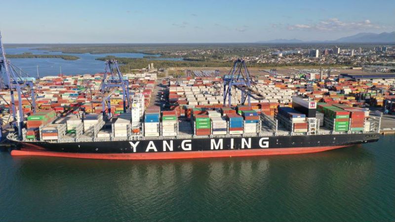 Terminal de Contêineres de Paranaguá deve fechar o ano com crescimento de 11,7%