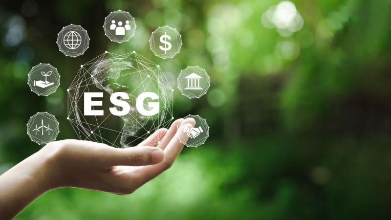 Curso capacita profissionais para processos de auditoria ESG