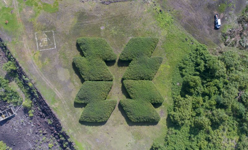 Copel se mantém na carteira do Índice de Carbono Eficiente da B3