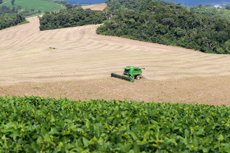 Com estiagem, agricultura paranaense estima redução nas safras de soja, milho e feijão
