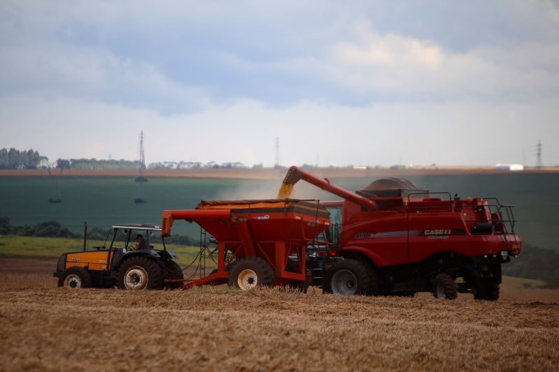 Produção agrícola do Paraná terá redução de mais de 30% devido à estiagem