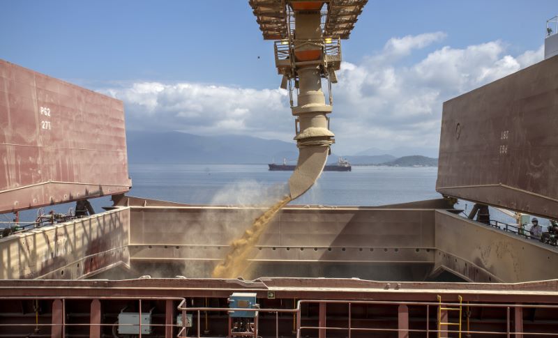 Com alta de 17% nas exportações, balança comercial do Paraná fecha positiva em 2021