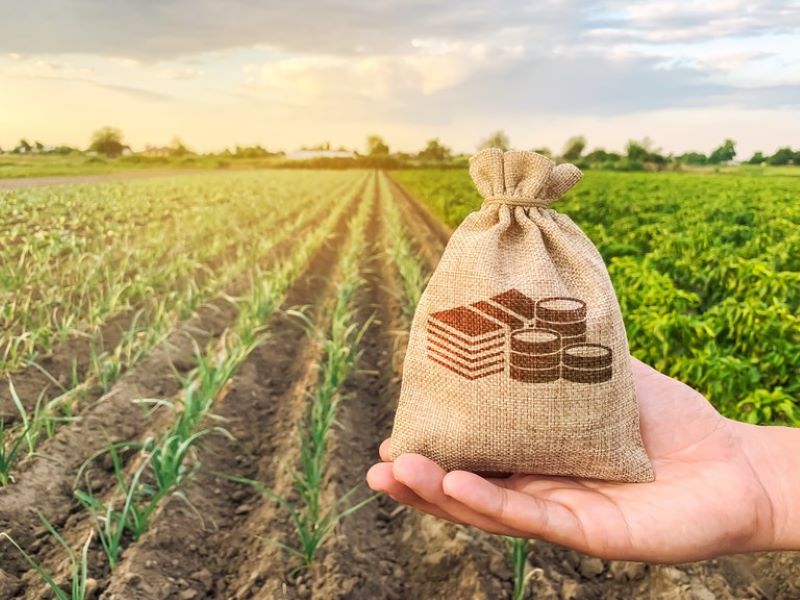 Finanças privadas no setor agropecuário estão crescendo