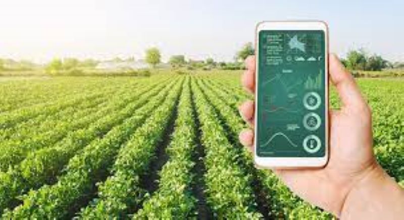 Digitalização do agronegócio deve crescer ainda mais nos próximos anos