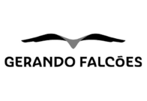 Gerando Falcões aposta em tecnologia para gerenciar colaboradores