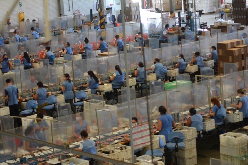 Setor calçadista já gerou 13 mil vagas em 2022