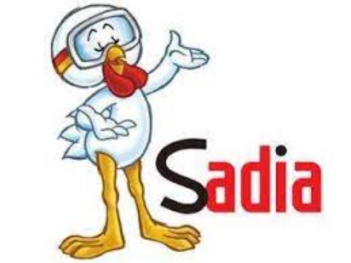 Sadia é eleita novamente a marca brasileira mais valiosa de alimentos