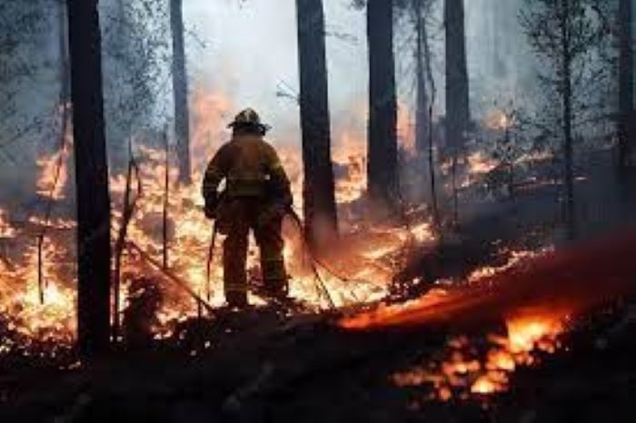 Catástrofes naturais foram responsáveis por perdas de mais de US$ 313 bilhões em 2022