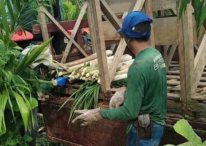Startup paranaense Belterra se une a Santander, Grupo Gaia e Conexsus em operação financeira inédita para fomentar bioeconomia