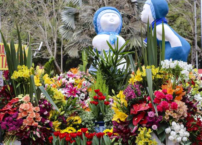 Holambra traz as principais tendências em flores e plantas para o Dia das Mães