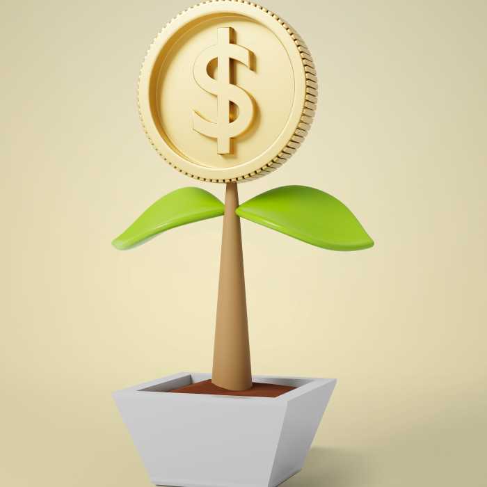Investimentos de impacto no Brasil atingem R$ 18,7 bilhões
