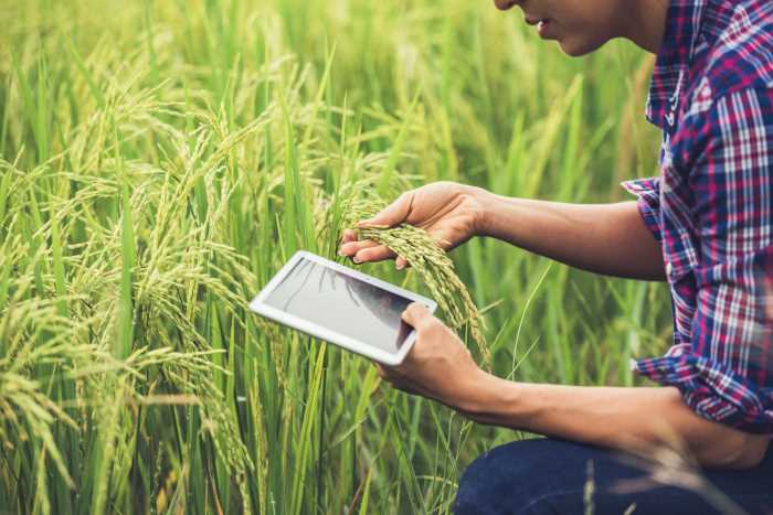 Produtoras investem na capacitação de colaboradores para ampliar negócios